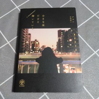 小さな星だけど輝いている(文学/小説)