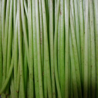 天然 山ふき 700g(野菜)