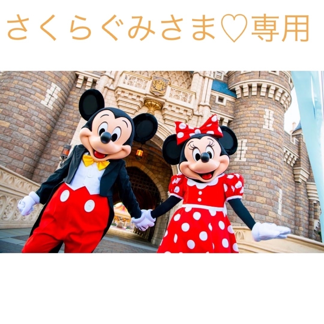 Disney(ディズニー)のさくらぐみさま♡専用 エンタメ/ホビーのおもちゃ/ぬいぐるみ(キャラクターグッズ)の商品写真