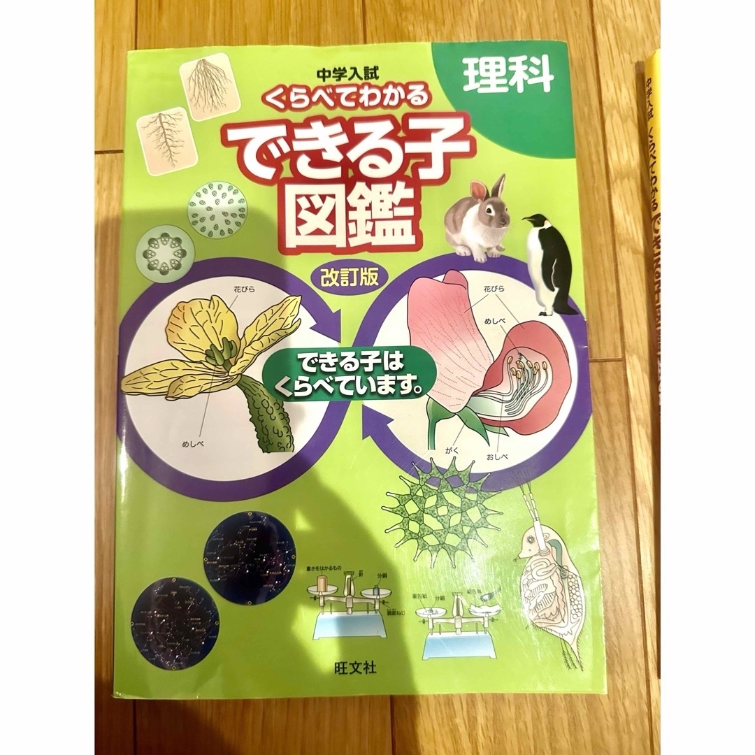 旺文社(オウブンシャ)の中学入試くらべてわかるできる子図鑑　改訂版　社会と理科のセット エンタメ/ホビーの本(語学/参考書)の商品写真