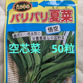 空芯菜の種　50粒！(プランター)