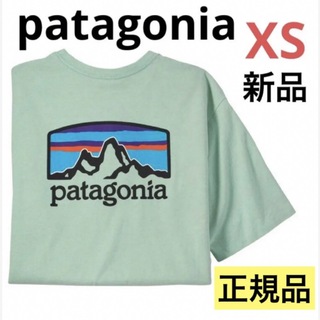 パタゴニア(patagonia)の⭐️レア⭐️patagonia フィッツロイホライゾンズレスポンシビリティー(Tシャツ/カットソー(半袖/袖なし))