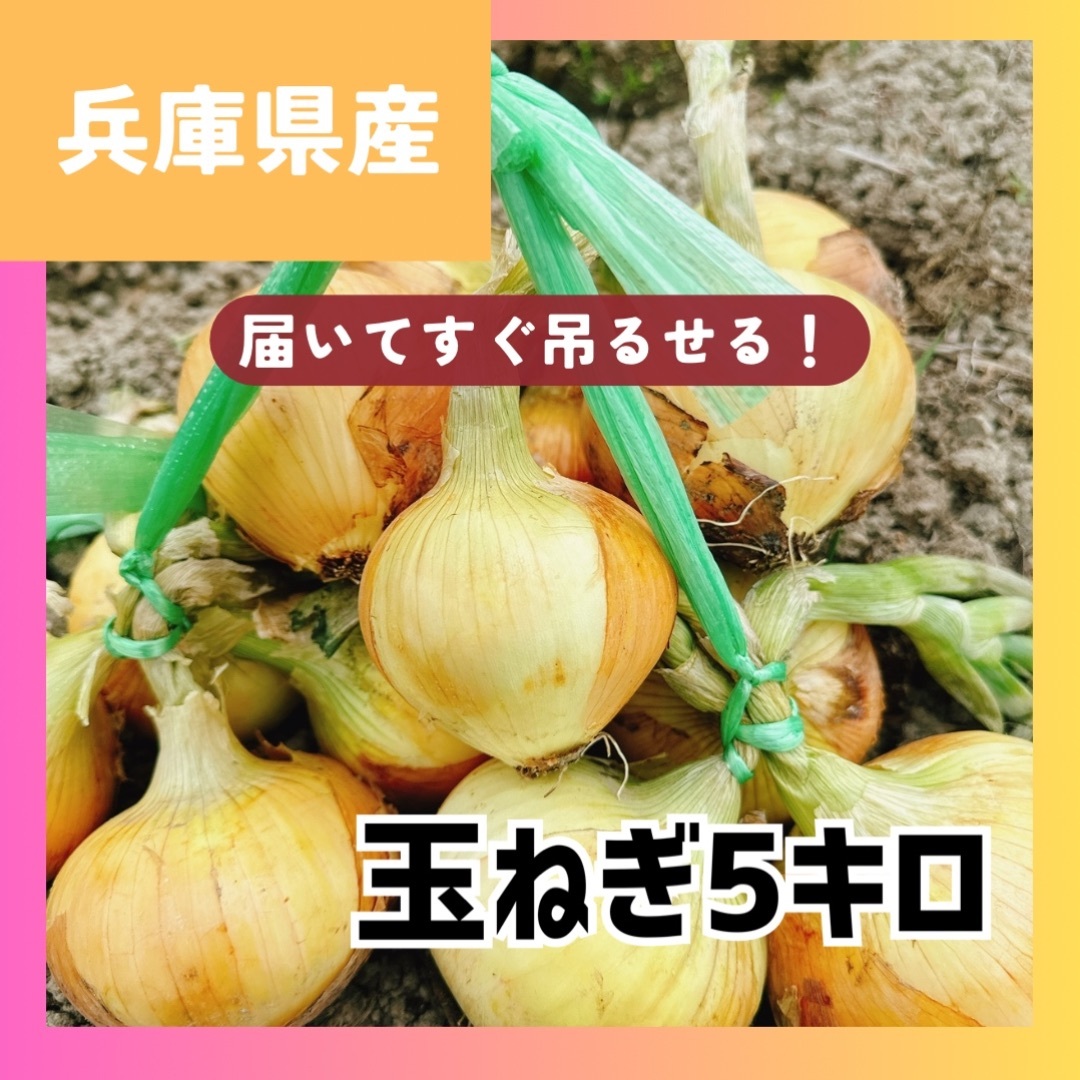 今年も販売中‼️吊るして保存‼️玉ねぎ5キロ入‼️ 食品/飲料/酒の食品(野菜)の商品写真