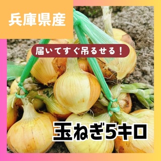 今年も販売中‼️吊るして保存‼️玉ねぎ5キロ入‼️(野菜)