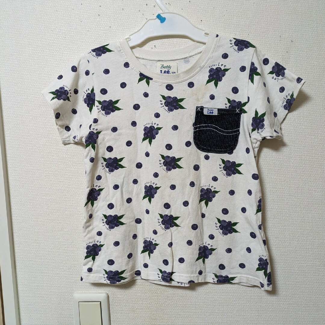 Buddy Lee(バディーリー)のBuddy Lee　半袖　Tシャツ　綿100%　120センチ キッズ/ベビー/マタニティのキッズ服女の子用(90cm~)(Tシャツ/カットソー)の商品写真