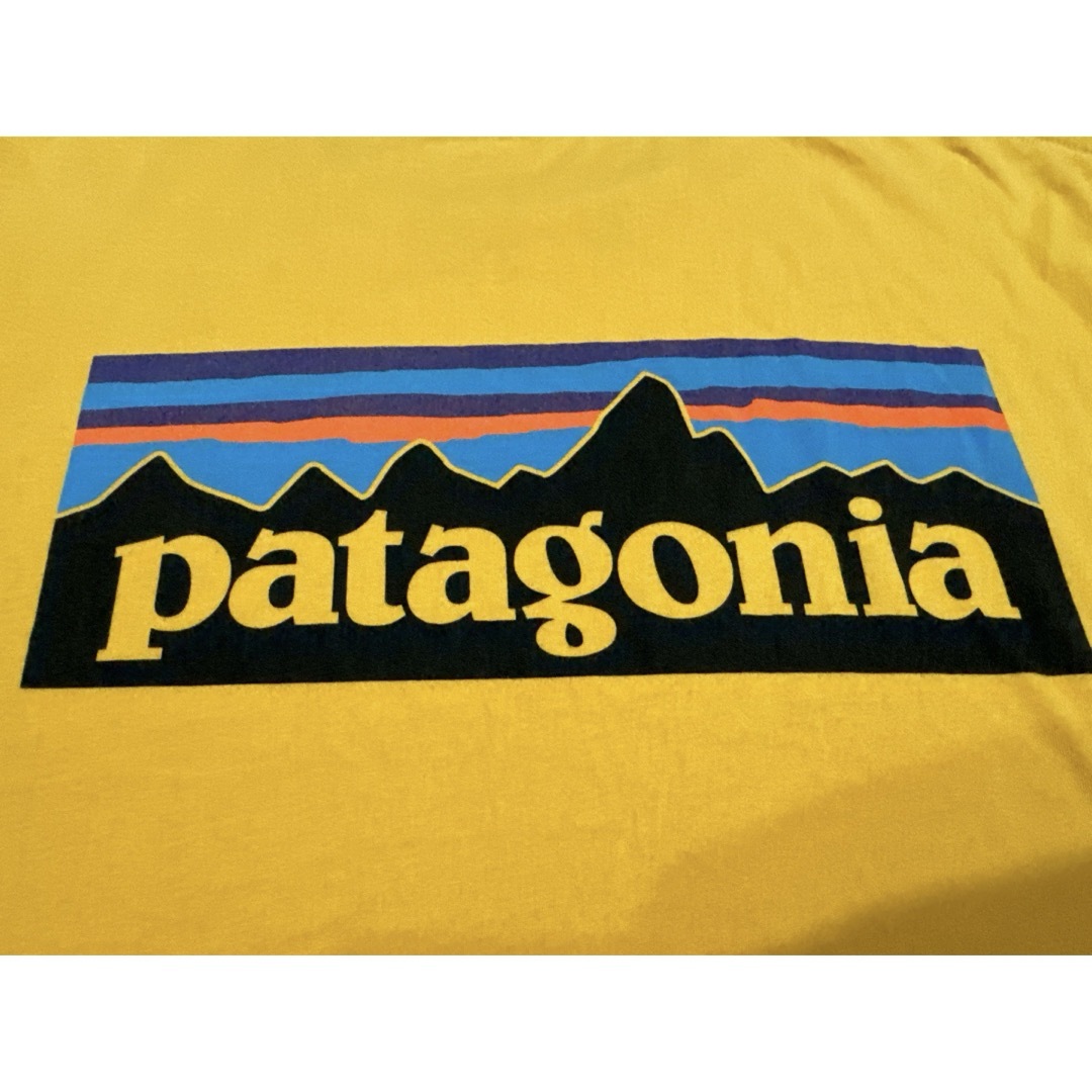 patagonia(パタゴニア)のパタゴニア Tシャツ メンズのトップス(Tシャツ/カットソー(半袖/袖なし))の商品写真