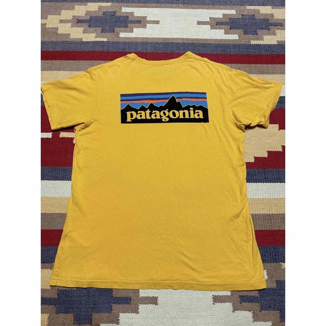 patagonia(パタゴニア)のパタゴニア Tシャツ メンズのトップス(Tシャツ/カットソー(半袖/袖なし))の商品写真