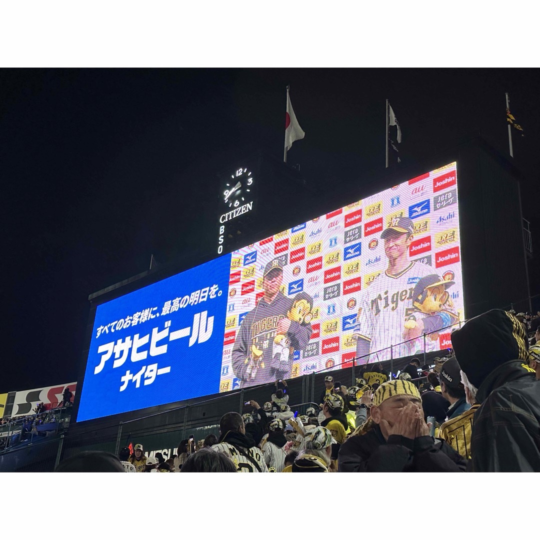 阪神タイガース(ハンシンタイガース)の甲子園5月17日阪神vsヤクルト ライトスタンドペアチケット チケットのスポーツ(野球)の商品写真