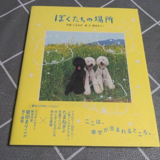 ぼくたちの場所(文学/小説)