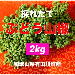 数量限定　ぶどう山椒　山椒の実　香辛料　野菜　旬　果実　スパイス　2kg(野菜)