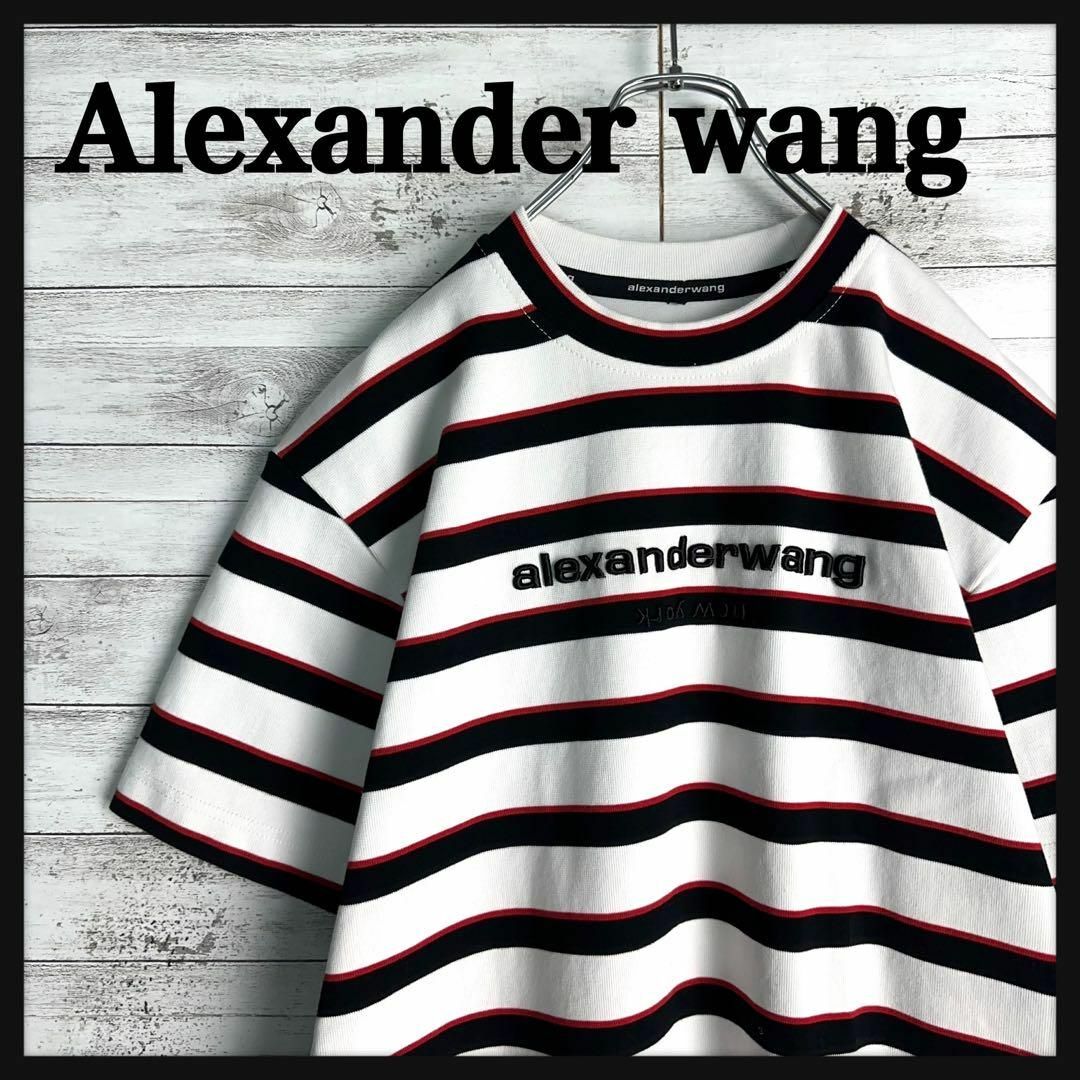 Alexander Wang(アレキサンダーワン)の9482【希少デザイン】アレキサンダーワン☆立体刺繍ロゴ超肉厚tシャツ　美品 メンズのトップス(Tシャツ/カットソー(半袖/袖なし))の商品写真