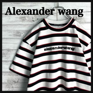 Alexander Wang - 9482【希少デザイン】アレキサンダーワン☆立体刺繍ロゴ超肉厚tシャツ　美品