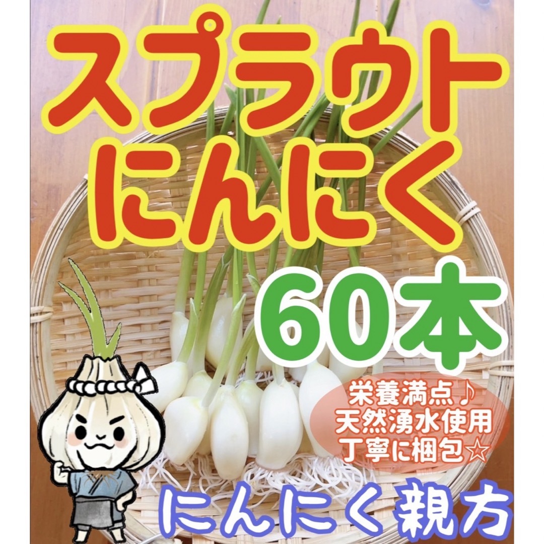 スプラウトにんにく　驚きの栄養価　発芽にんにく　60本　にんにく親方 食品/飲料/酒の食品(野菜)の商品写真