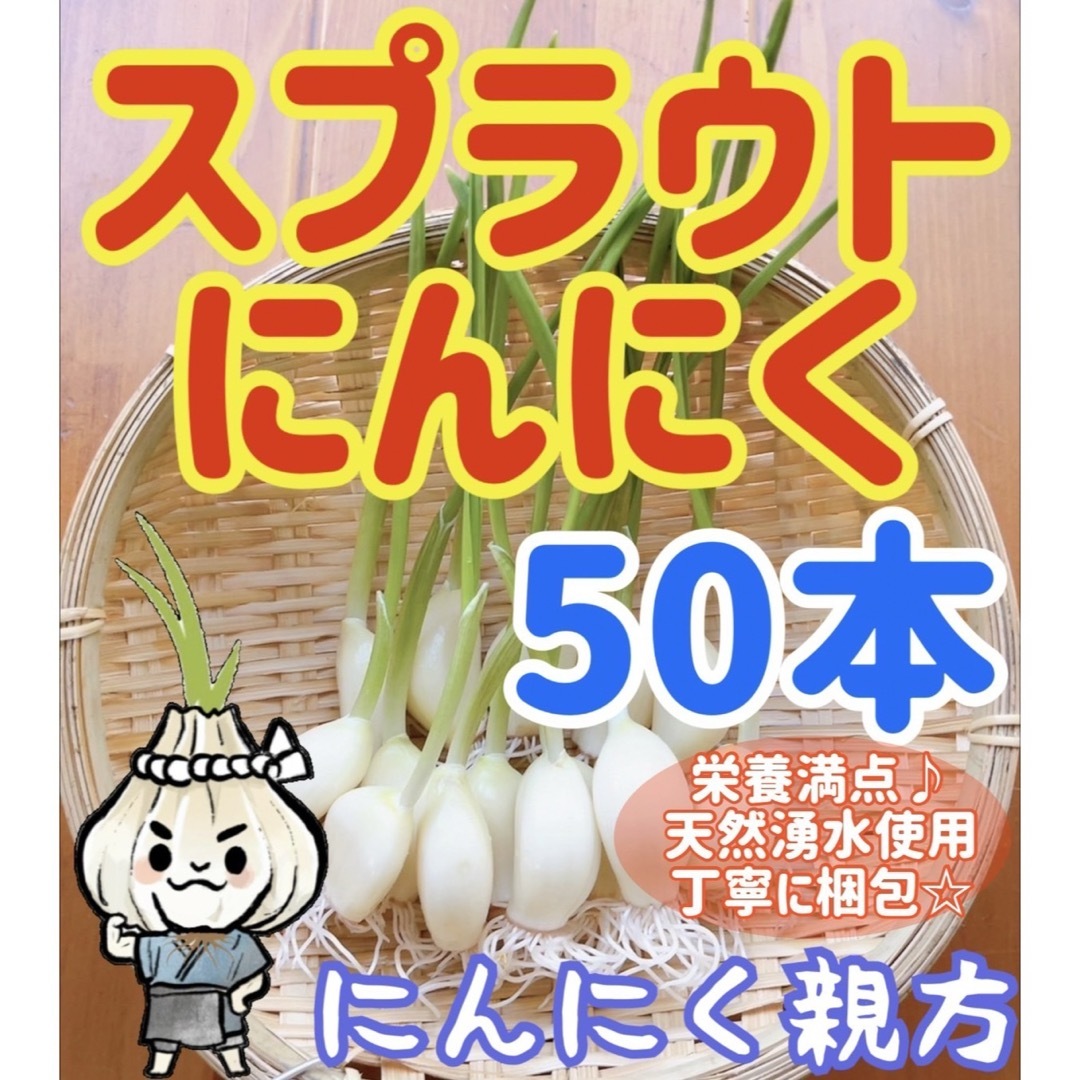 スプラウトにんにく　驚きの栄養価　発芽にんにく　50本　にんにく親方 食品/飲料/酒の食品(野菜)の商品写真