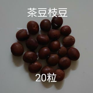 【自然栽培】茶豆枝豆の種20粒①(野菜)