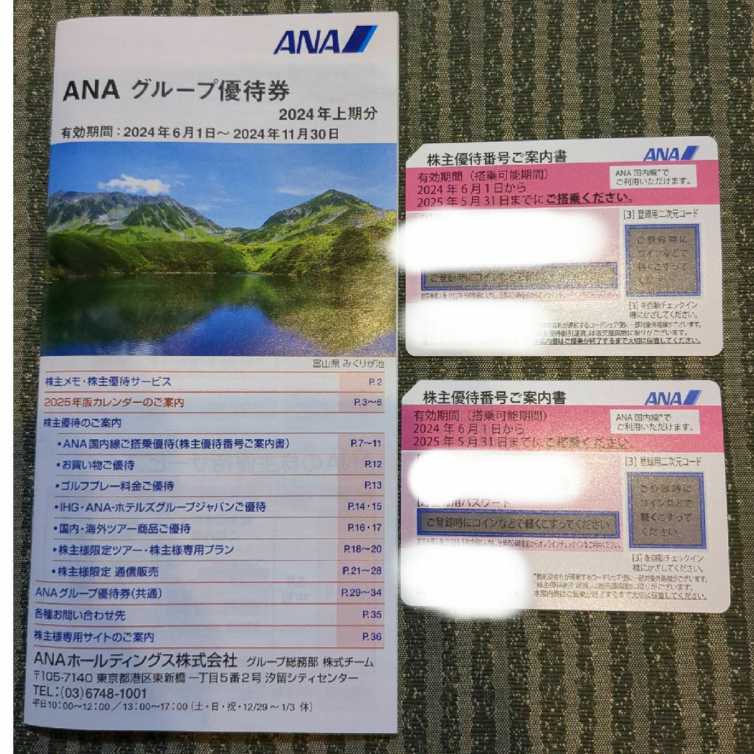 ANA株主優待　2枚セット　優待冊子１冊付き チケットの乗車券/交通券(航空券)の商品写真