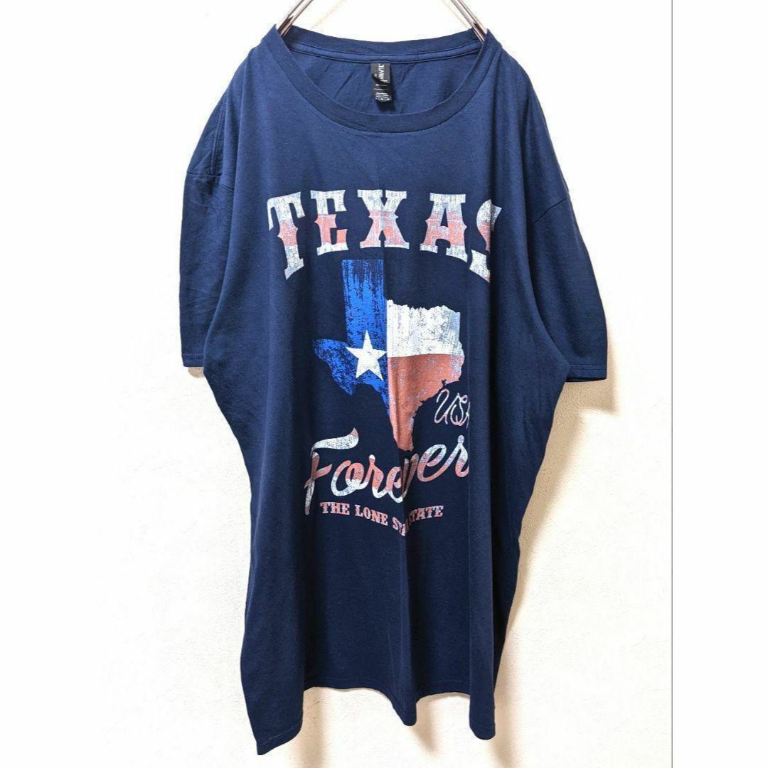 Anvil(アンビル)のアンビル テキサス USA Tシャツ ネイビー 紺色 XL 古着 メンズのトップス(Tシャツ/カットソー(半袖/袖なし))の商品写真