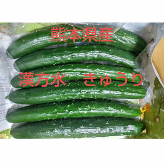 農家直送　熊本県産　漢方水　きゅうり　1.1キロ以上(野菜)