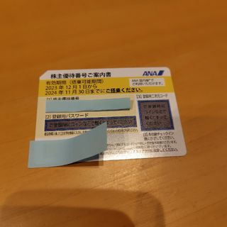 エーエヌエー(ゼンニッポンクウユ)(ANA(全日本空輸))のANA株主優待券11/30(その他)