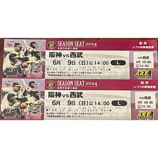 6/9（日）阪神タイガースVS西武　ペアチケット(野球)