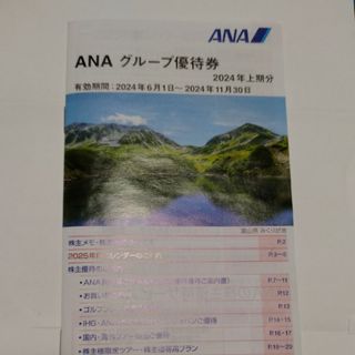 エーエヌエー(ゼンニッポンクウユ)(ANA(全日本空輸))のANAグループ優待券·搭乗券(航空券)