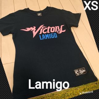 台湾のプロ野球チーム、ラミゴモンキーズのTシャツです(ウェア)