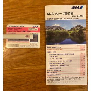 エーエヌエー(ゼンニッポンクウユ)(ANA(全日本空輸))のANA 株主優待券(その他)