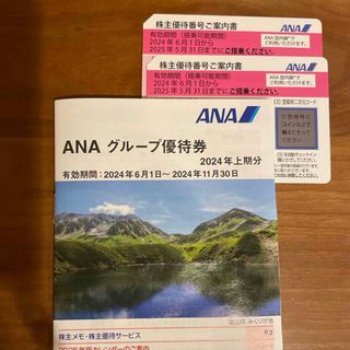 エーエヌエー(ゼンニッポンクウユ)(ANA(全日本空輸))のANA株主優待　2枚(その他)