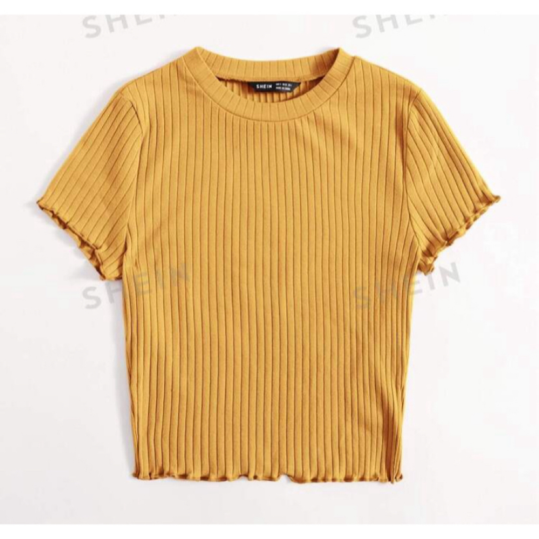 SHEIN(シーイン)のSHEIN/シーイン レタストリム リブニット 半袖Tシャツ レディースのトップス(Tシャツ(半袖/袖なし))の商品写真