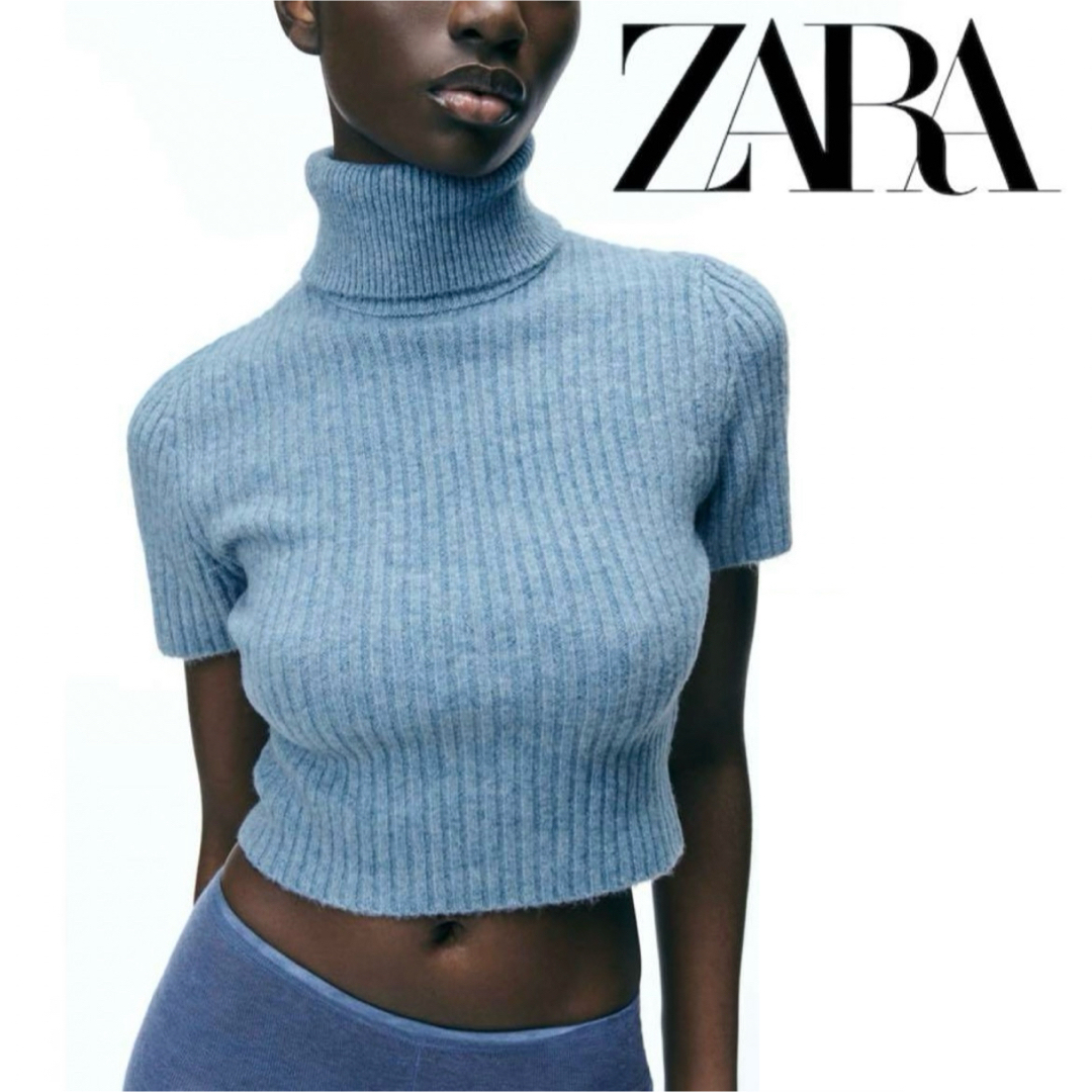 ZARA(ザラ)のZARA ショートスリーブ リブニットセーター レディースのトップス(ニット/セーター)の商品写真