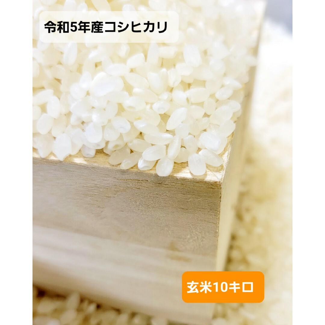 【農家のお米】令和5年福島県産【コシヒカリ】玄米10キロ 食品/飲料/酒の食品(米/穀物)の商品写真