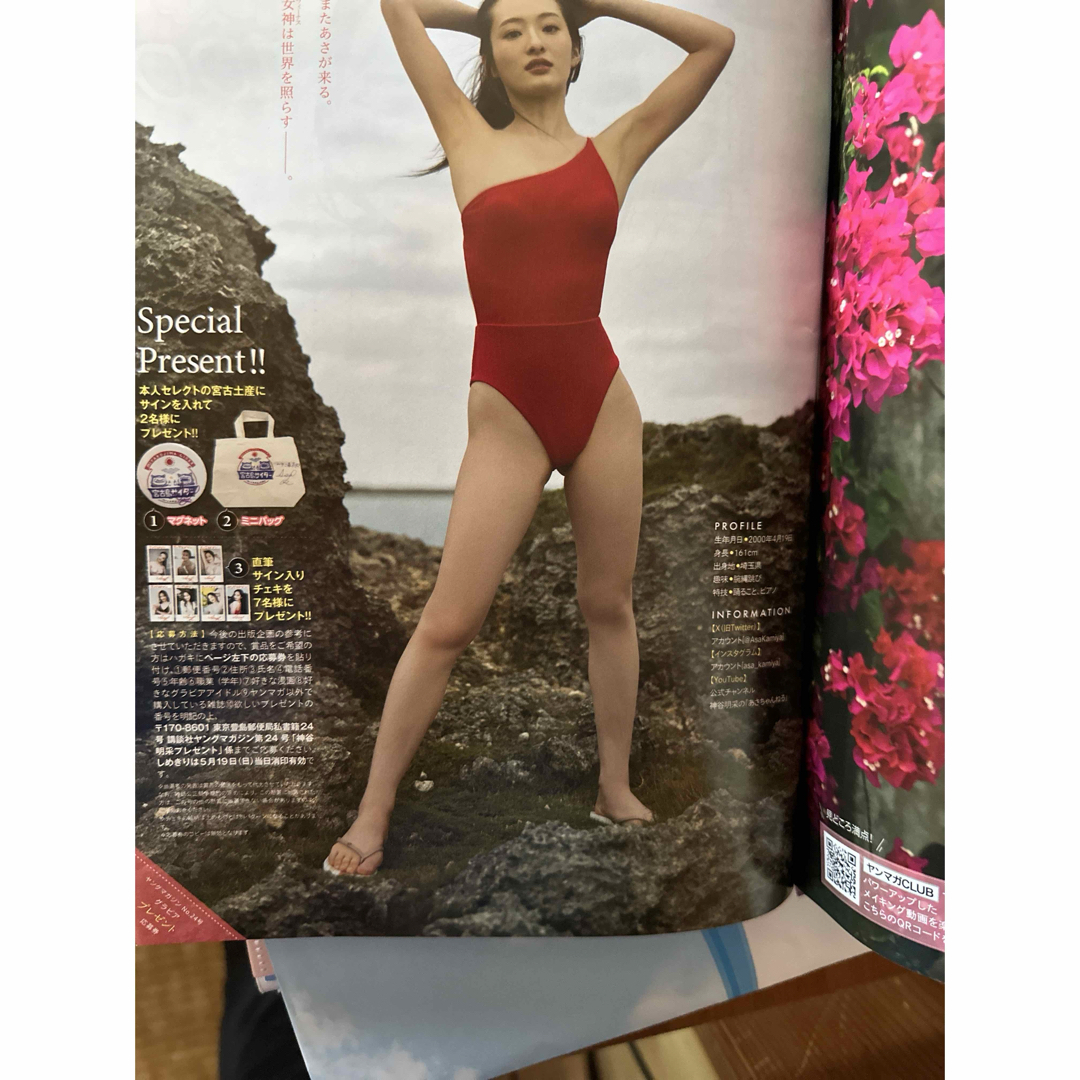 ヤングマガジン 2024年 5/27号 [雑誌] エンタメ/ホビーの雑誌(アート/エンタメ/ホビー)の商品写真