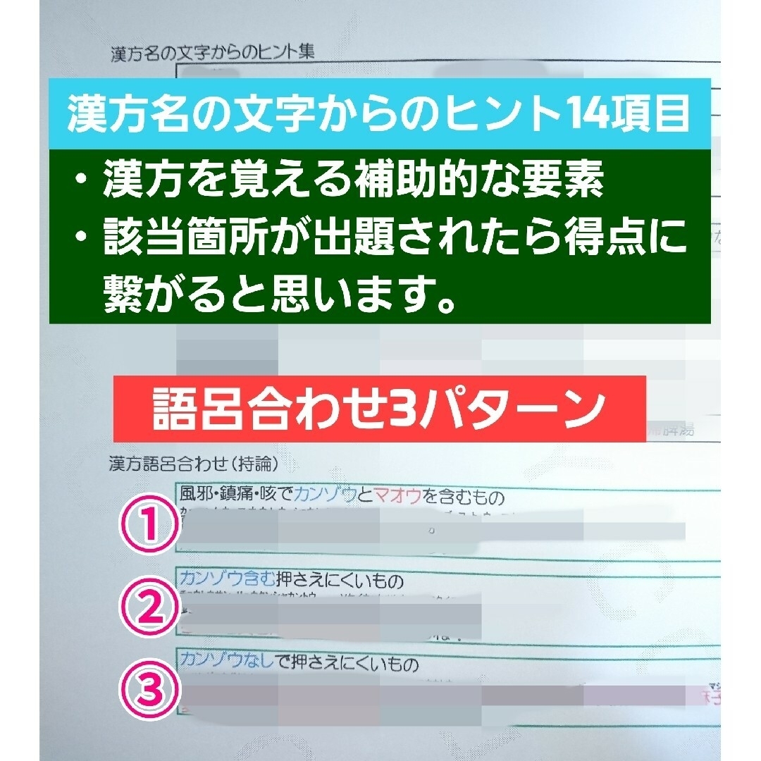 独学 北海道・東北ブロック対策 登録販売者【試験対策B】テキスト 最新版 R6 エンタメ/ホビーの本(語学/参考書)の商品写真