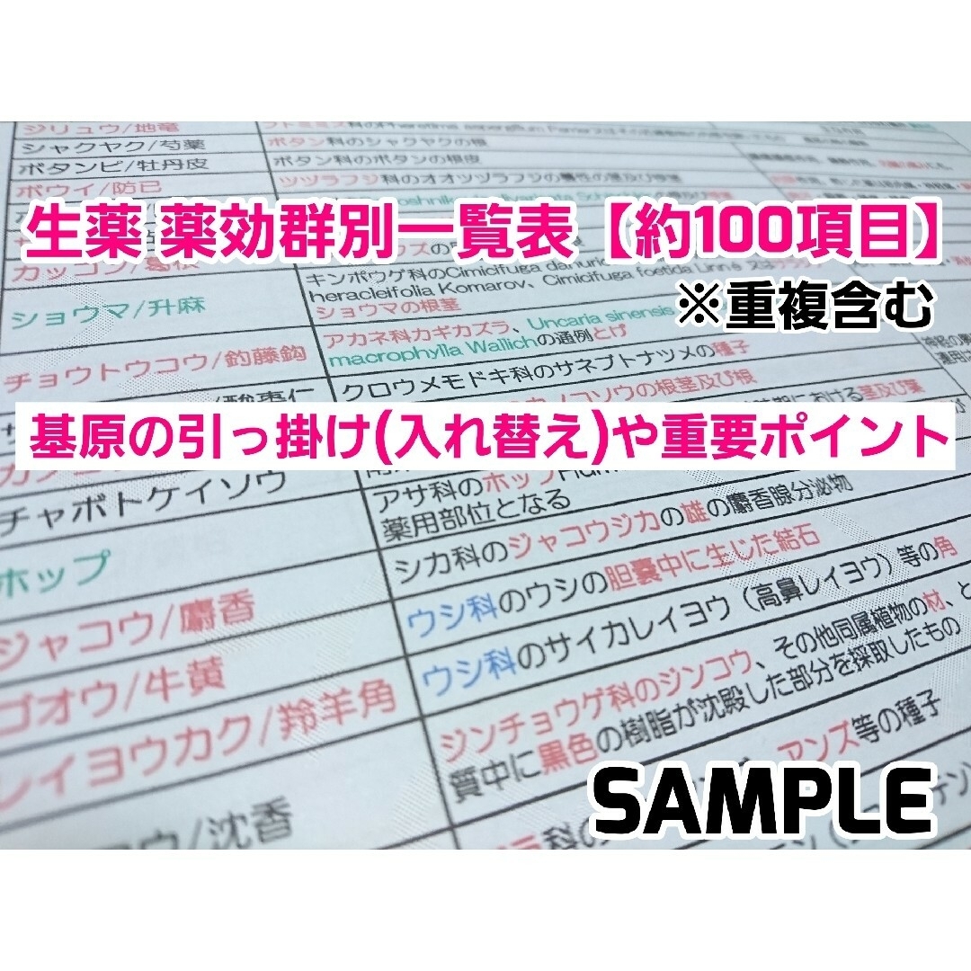 独学 北海道・東北ブロック対策 登録販売者【試験対策B】テキスト 最新版 R6 エンタメ/ホビーの本(語学/参考書)の商品写真