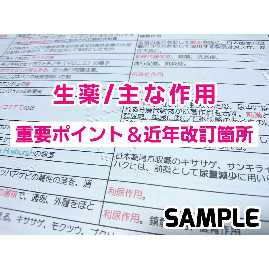 独学 北海道・東北ブロック対策 登録販売者【試験対策B】テキスト 最新版 R6 エンタメ/ホビーの本(語学/参考書)の商品写真