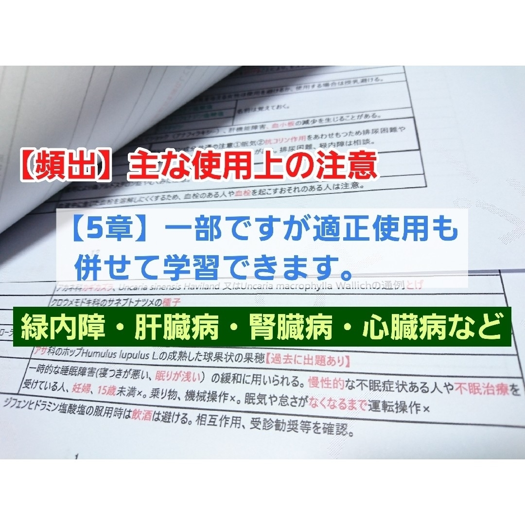 北海道・東北ブロック試験対策A 成分まとめ 登録販売者 テキスト エンタメ/ホビーの本(語学/参考書)の商品写真