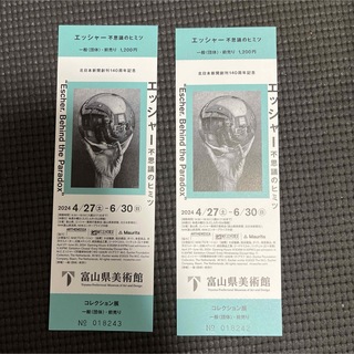 富山県美術館　エッシャー不思議のヒミツ　チケット2枚  (美術館/博物館)
