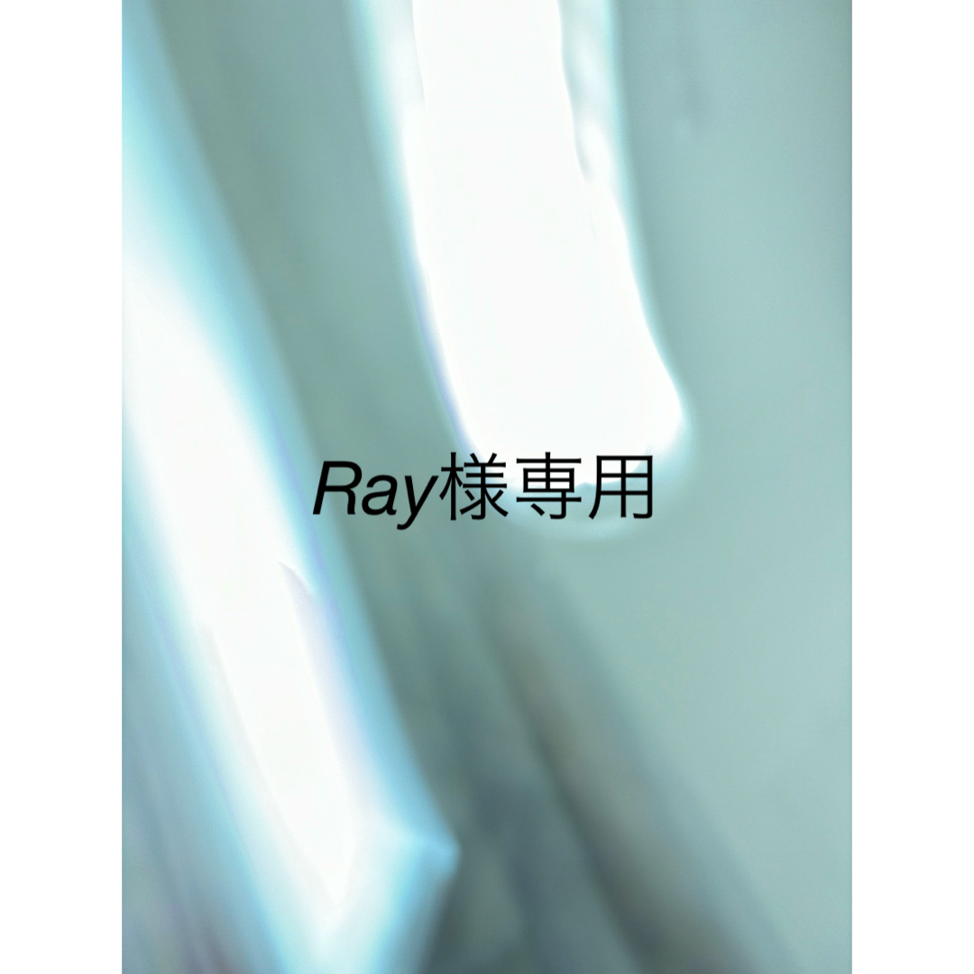 Ray様専用 コスメ/美容のボディケア(制汗/デオドラント剤)の商品写真