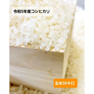 【農家のお米】令和5年福島県産【コシヒカリ】玄米30キロ(米/穀物)