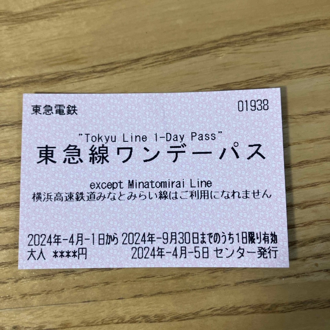 東急線ワンデーパス チケットの乗車券/交通券(鉄道乗車券)の商品写真
