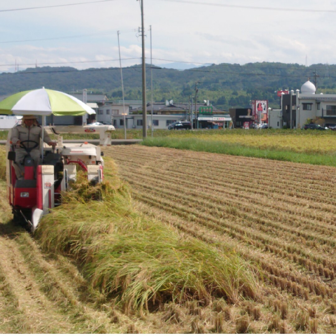 ※ワンコイン※7分つきお試し富山県産コシヒカリ２合＋３合常温ネコポス発送 食品/飲料/酒の食品(米/穀物)の商品写真