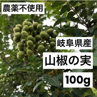 岐阜県産　山椒の実　100g 農薬不使用 NO2(野菜)