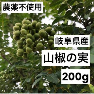 岐阜県産　山椒の実　200g 農薬不使用 NO2(野菜)