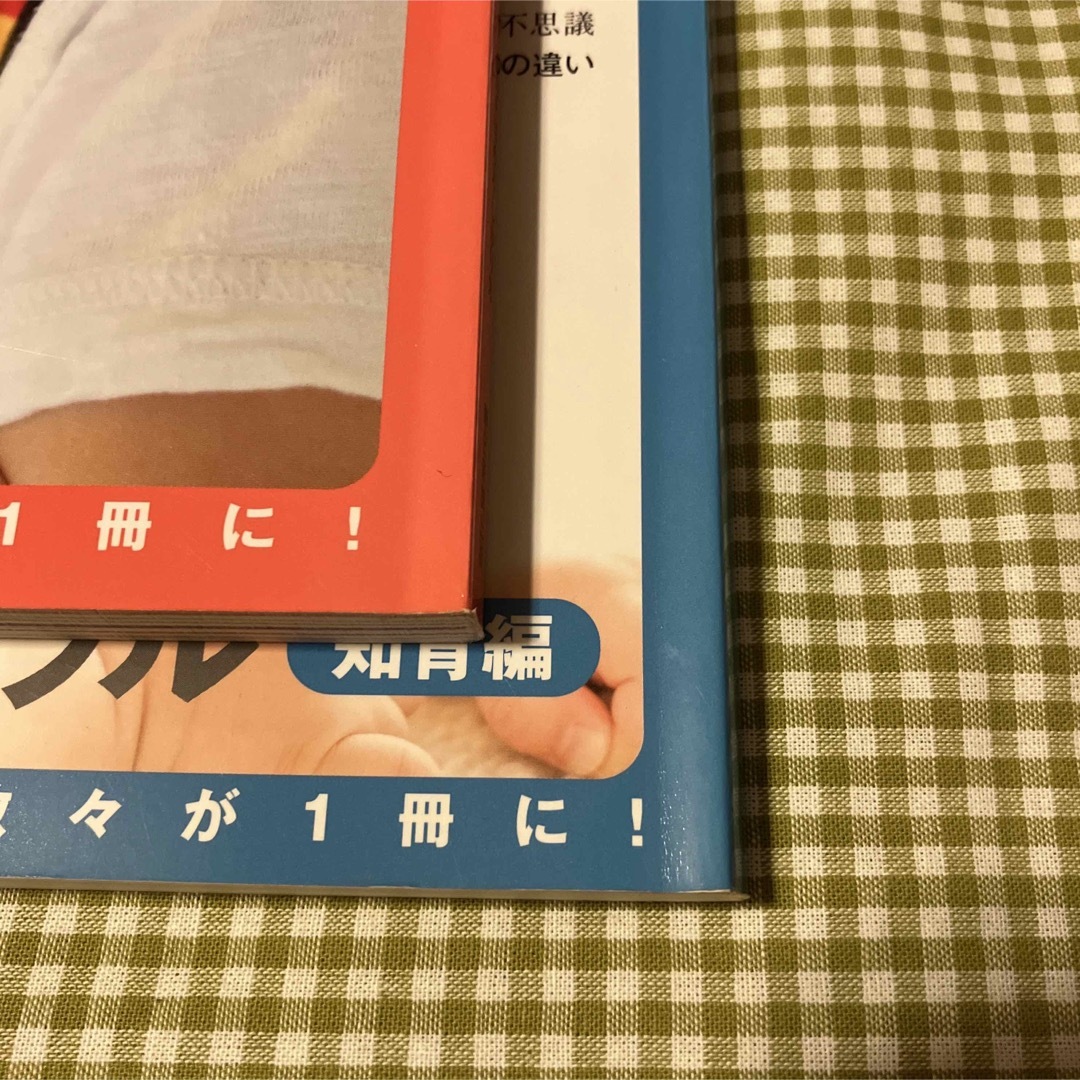 朝日新聞出版(アサヒシンブンシュッパン)のＡＥＲＡ　ｗｉｔｈ　Ｂａｂｙ 保存版 2冊セット エンタメ/ホビーの本(住まい/暮らし/子育て)の商品写真