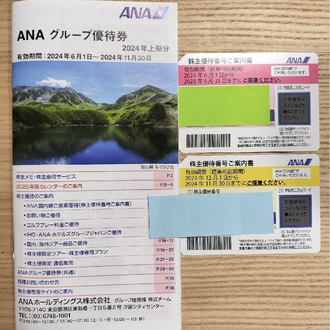 ANA(全日本空輸)(エーエヌエー(ゼンニッポンクウユ))のANA　航空券　冊子 チケットの乗車券/交通券(航空券)の商品写真
