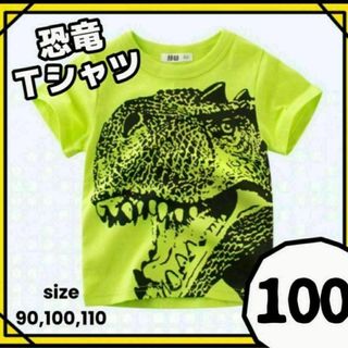 ✿新商品✿100㎝ リアル恐竜Tシャツ 半袖 緑 キッズ コットン100%(Tシャツ/カットソー)