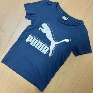プーマ(PUMA)のプーマ Tシャツ 100cm PUMA ネイビー 3-4Y 記名なし(Tシャツ/カットソー)