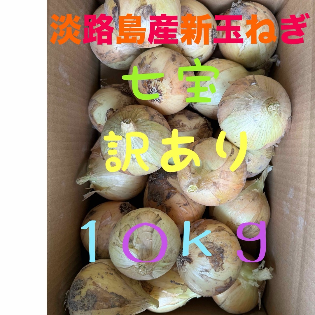 淡路島産新玉ねぎ七宝訳あり１０ｋｇ 食品/飲料/酒の食品(野菜)の商品写真