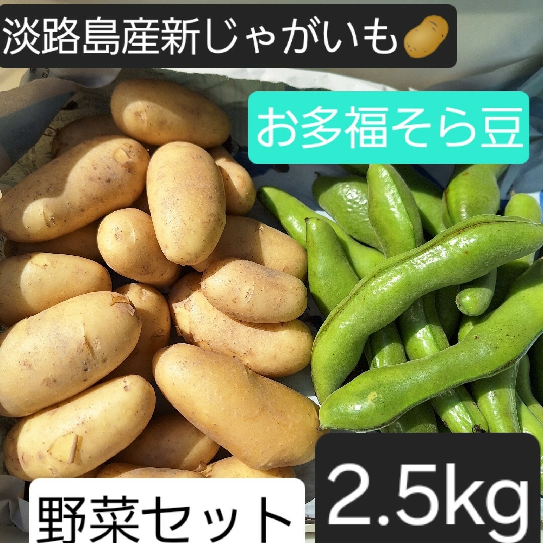 淡路島産新じゃがいも🥔とそら豆の旬の野菜セット3kg 食品/飲料/酒の食品(野菜)の商品写真