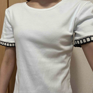 ザラ(ZARA)のZARA ザラ　シンプル　袖口ニット　Tシャツ　白(Tシャツ(半袖/袖なし))